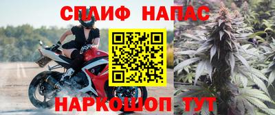 стаф Севастополь