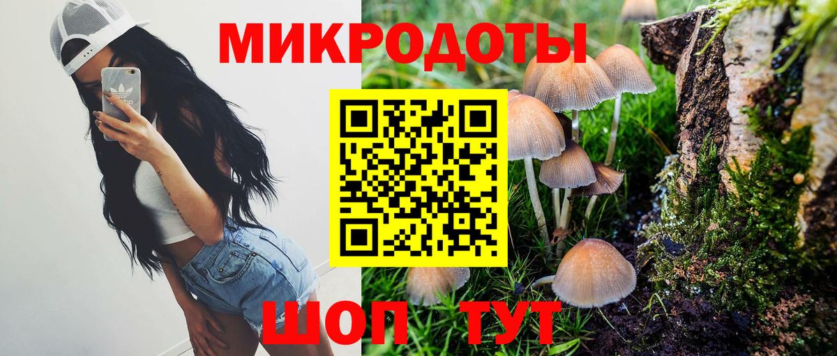 Энгельс  Псилоцибиновые грибы Magic Shrooms  Вход с VPN 